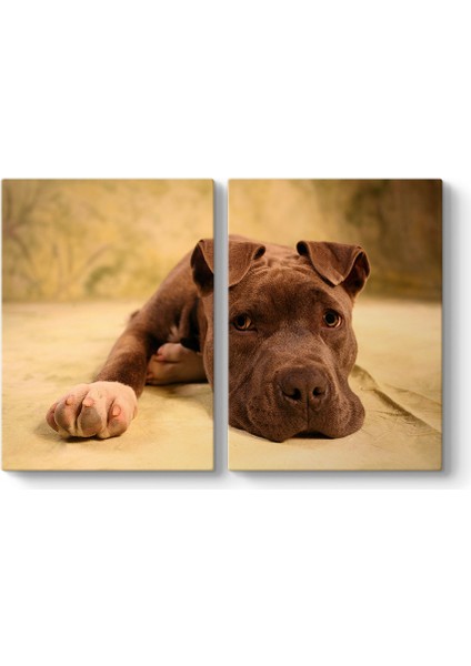 Yavru Pitbull Tablosu