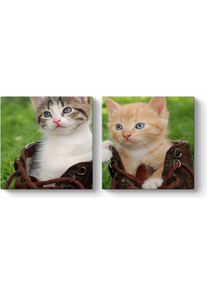 Sevimli Kediler Tablosu