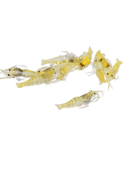 10 Yumuşak Plastik Karides (Yurt Dışından) indirimleri