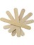 Abeslang Tahta Dil Basacağı Spatula 2000 Adet 150X18X2 mm 1