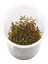 In Vitro Rotala Macrandra Mini Pink 200 cc 1