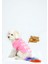 Baskılı Köpek Kedi Sweatshirt Pembe L 2