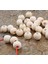 18 mm Ham Işlenmemiş Ahşap Boncuk - 100 Gram (±50 Adet ) 1