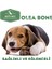 Olea Bone S - Köpekler için ağız bakımı ve oyuncak 4