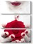 Lady Red Rose Tablosu 1