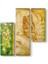 Green Butterfly Tablo 1