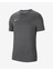 Dri-Fit Park CW6952-071 Erkek T-Shirt 1