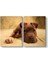Yavru Pitbull Tablosu 1