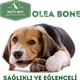 Olea Bone L - Köpekler için ağız bakımı ve oyuncak