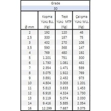 Force Chain 5685-(A) 8mm G30 Galvaniz Kaplamalı 5 Mtr Zincir