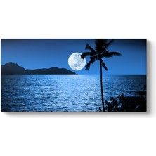 Tabloshop Dolunay Ay Işığı Tablosu