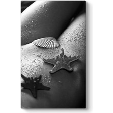 Tabloshop With Seashell Tablo