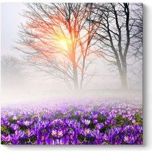 Tabloshop Sisli Mor Çiçek Tarlası Tablosu