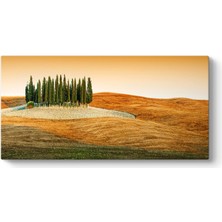 Tabloshop Sürülmüş Tarla Tablosu