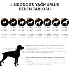 Lindodogs Red Stripe Köpek Yağmurluğu