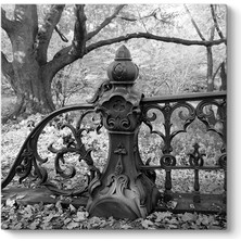 Tabloshop Demir Köprü Tablosu