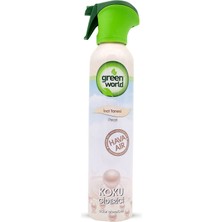 Green World %100 Hava Koku Giderici Inci Gw 300 ml
