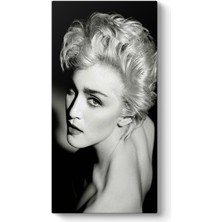 Tabloshop Madonna Louise Ciccone Tablosu
