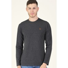Dewberry T8588 Dewberry Bisiklet Yaka Erkek Sweatshirt-Antrasit