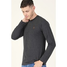 Dewberry T8588 Dewberry Bisiklet Yaka Erkek Sweatshirt-Antrasit