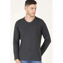 T8587 DEWBERRY V YAKA ERKEK UZUN KOL T-SHIRT-ANTRASİT