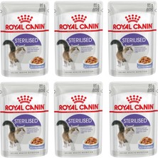 Royal Canin Sterilised Jelly Kısır Kedi Konservesi 85 gr (6 Adet)