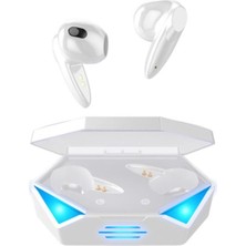 Torima Kulakiçi Rgb Işıklı Çift Mikrofonlu 3 Modlu Bluetooth 5.2 TG-G20 Kablosuz Oyuncu Kulaklığı