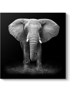 Tabloshop Yorgun Fil Tablosu