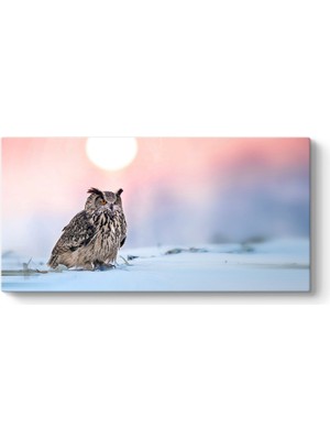 Tabloshop Kar Üzerinde Baykuş Tablosu