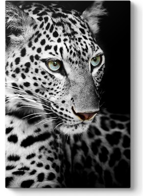 Tabloshop Leopar Portre Tablosu