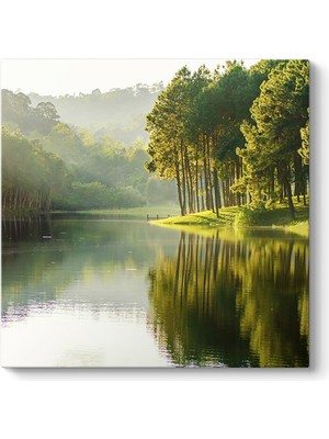 Tabloshop Güneş Işınları Ağaçlar Tablosu