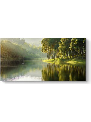 Tabloshop Güneş Işınları Ağaçlar Tablosu