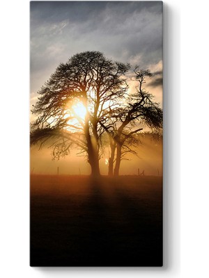 Tabloshop Ağaç ve Güneş Tablosu