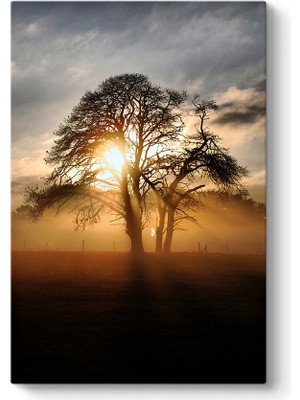 Tabloshop Ağaç ve Güneş Tablosu