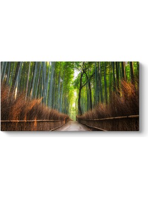 Tabloshop Japonya Bambu Tarlası Tablosu