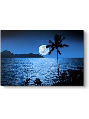 Tabloshop Dolunay Ay Işığı Tablosu