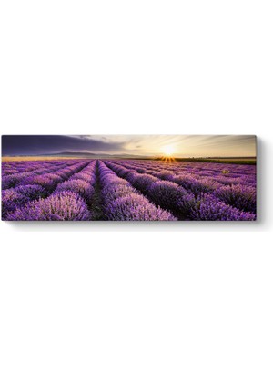 Tabloshop Fantastik Lavanta Tarlası Tablosu