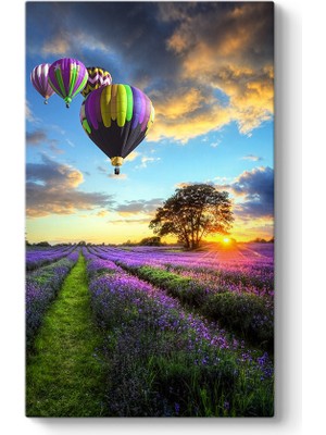 Tabloshop Balonlar ve Lavanta Tarlası Tablosu