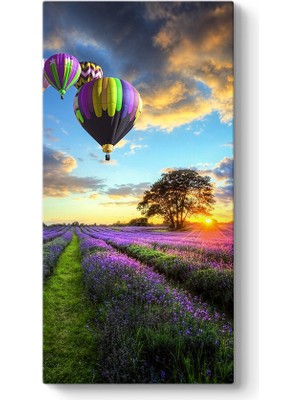 Tabloshop Balonlar ve Lavanta Tarlası Tablosu