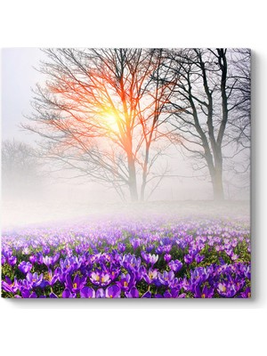 Tabloshop Sisli Mor Çiçek Tarlası Tablosu