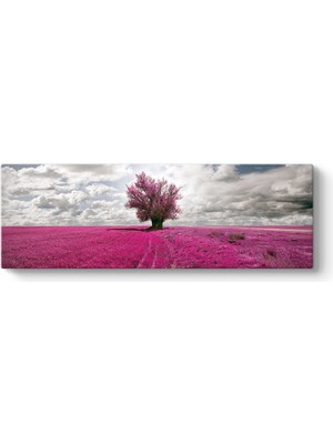 Tabloshop Pembe Alan Tablosu
