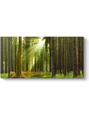 Tabloshop Güneş Işınları Tablosu