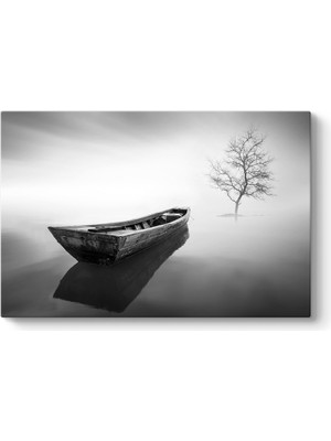 Tabloshop Pus Denizinde Kayık Tablosu