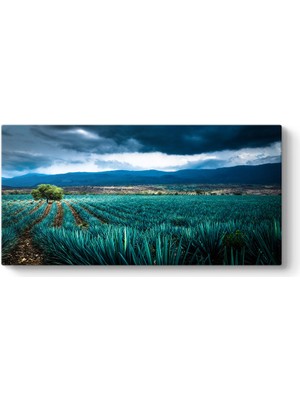 Tabloshop Agave Tarlası Tablosu