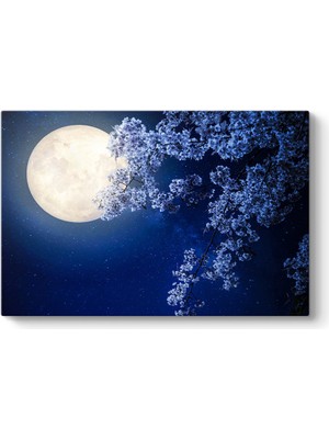 Tabloshop Ay ve Kiraz Çiçeği Tablosu