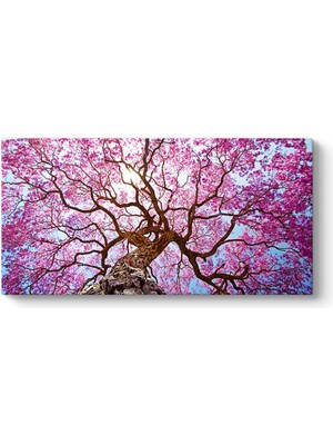 Tabloshop Pembe Lapaku Ağacı Tablosu