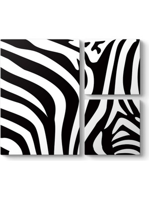 Tabloshop Zebra Deseni Vektörel Tablo