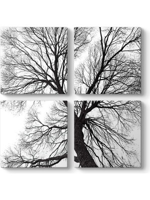 Tabloshop Yaşlı Ağaç Dalları Kanvas Tablo