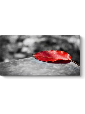 Tabloshop Kırmızı Yaprak Kanvas Tablo