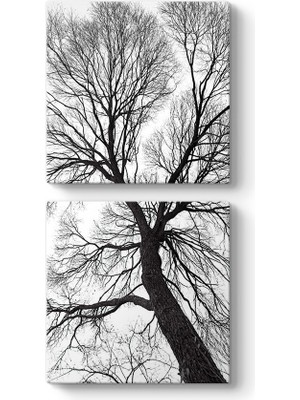 Tabloshop Yaşlı Ağaç Dalları Kanvas Tablo
